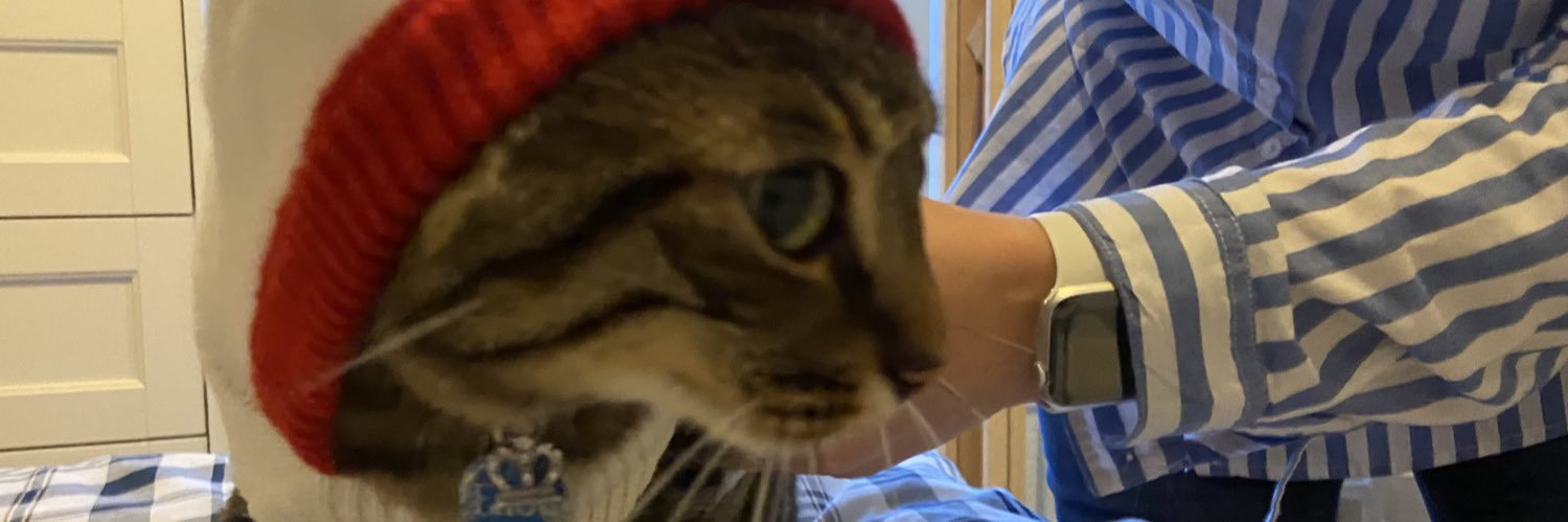 AuraneBlf's profile banner image