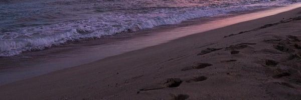 _Kird's profile banner image