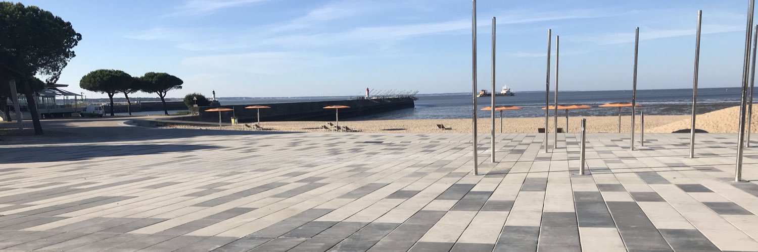 La baleine déshydrathée banner