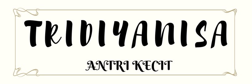 3diyanisa's profile banner image