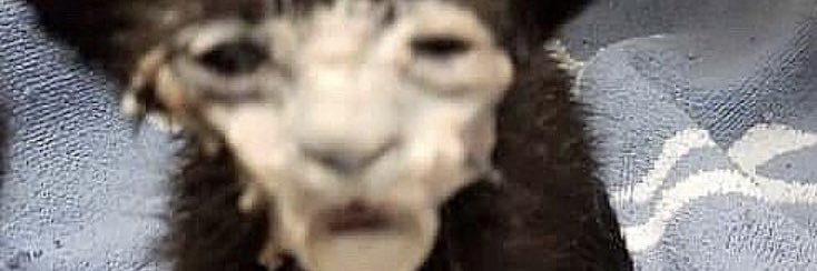 loud_fart69's profile banner image