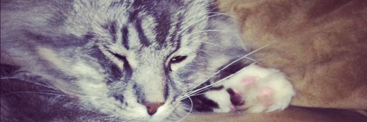 Cameezy17's profile banner image