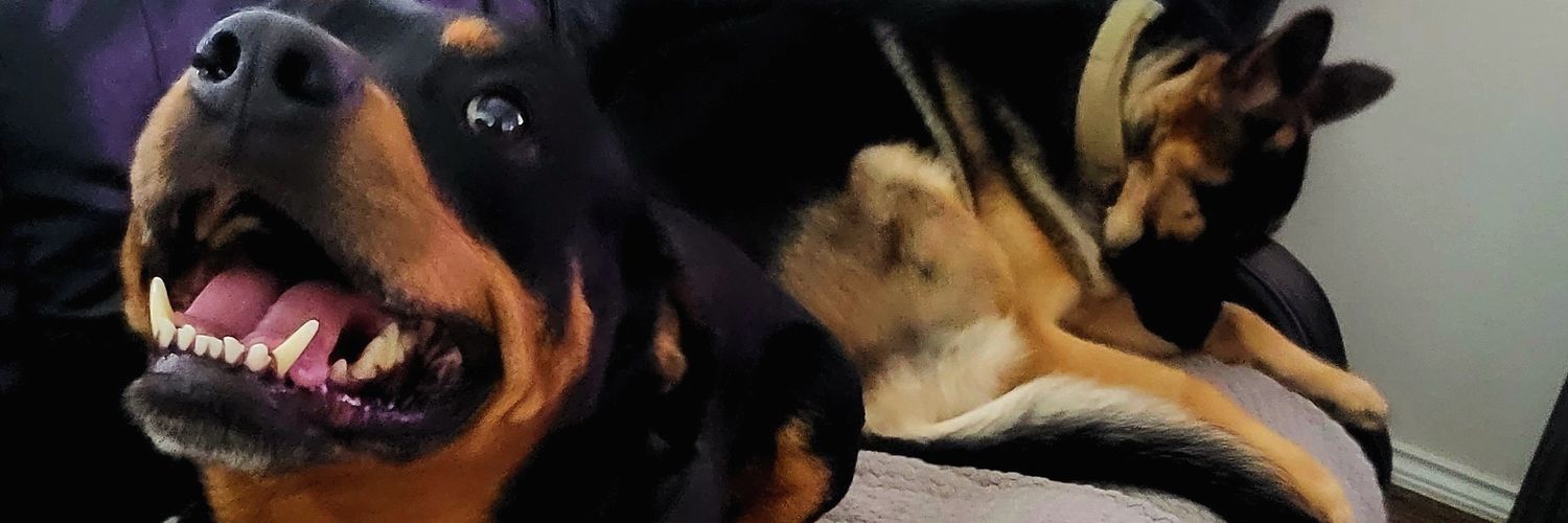 patrick_210's profile banner image