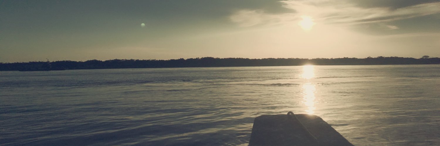 RoshitaGS's profile banner image