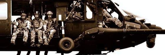8181's banner