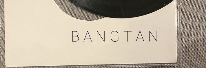 𝗩𝗮𝗹 | ᵃᵘ'ˢ 🪻 banner