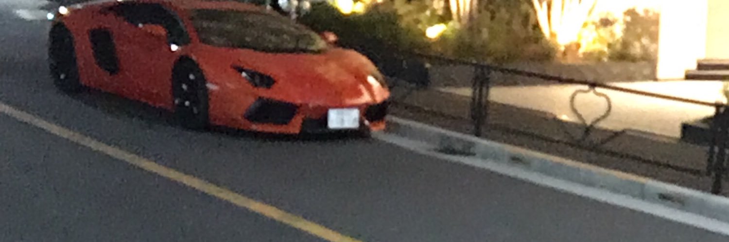 Sotokawa-Tasuku-山形の運転リハ研究やってる人 banner