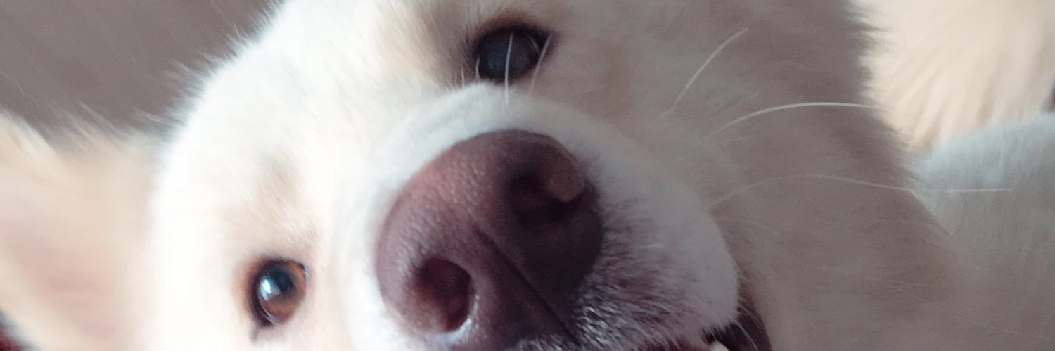 Racrazy_'s profile banner image