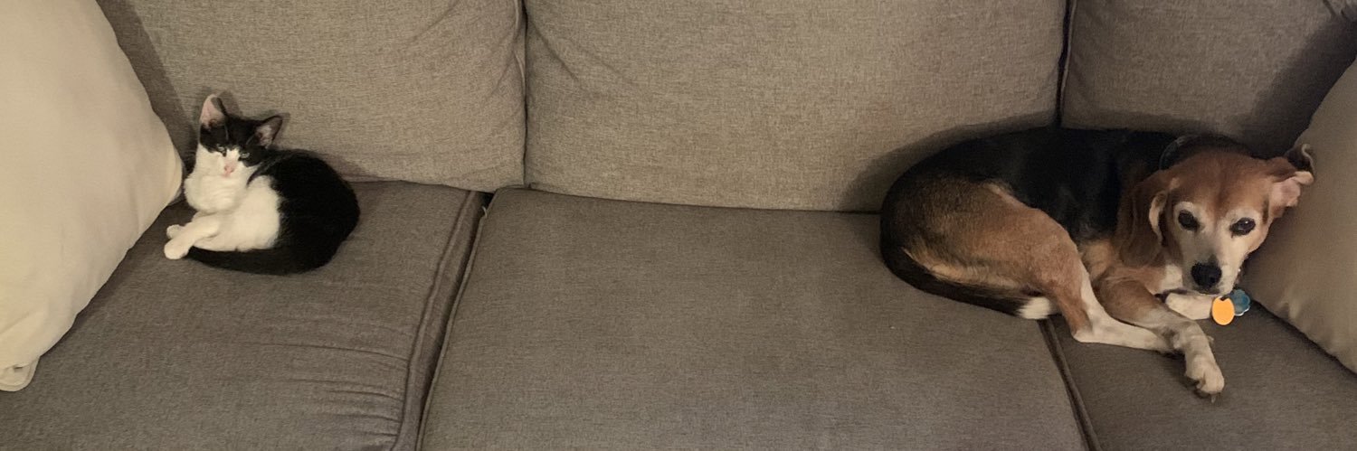 Mike banner