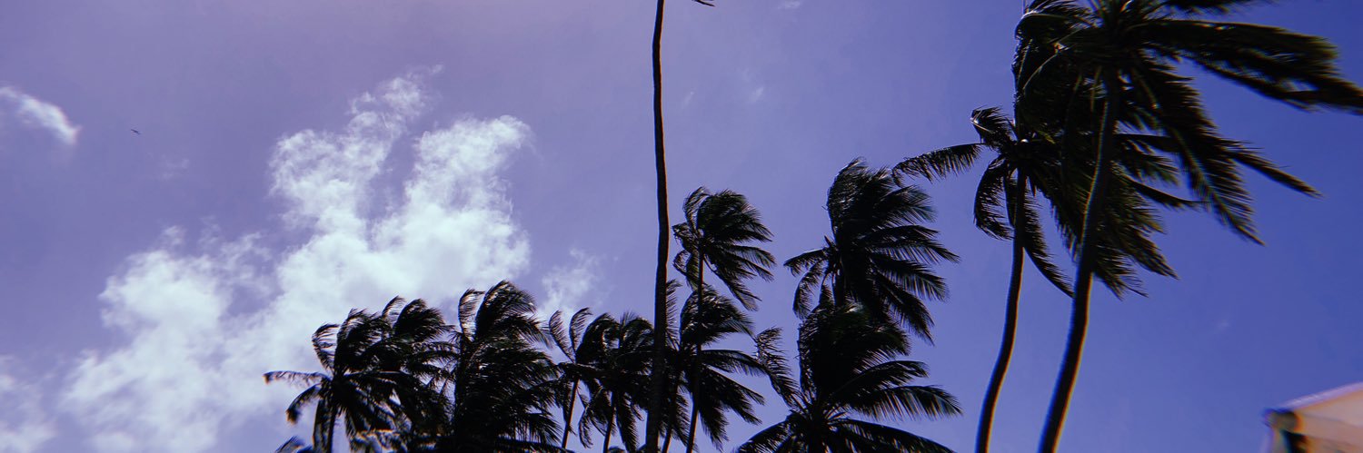 soficastanon's profile banner image