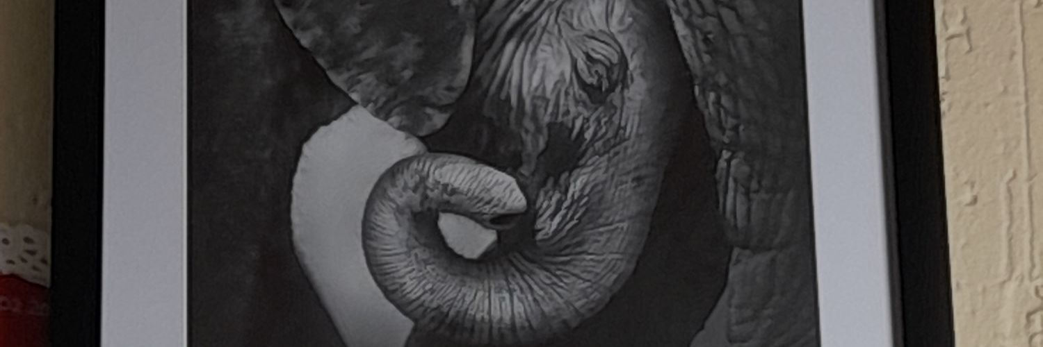 tgmathye's profile banner image