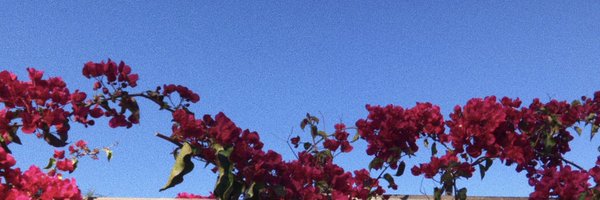 renuka____ Profile Banner