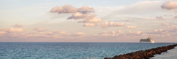 chuelainee Profile Banner