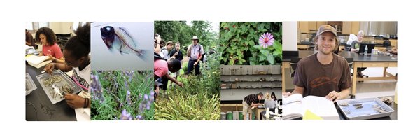 UTKBiology Profile Banner