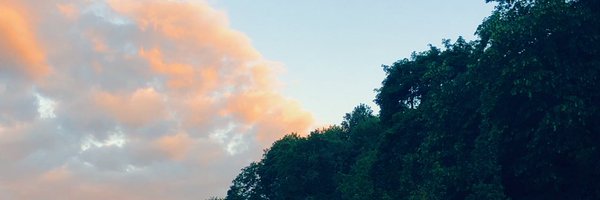 CharlineRobbe Profile Banner