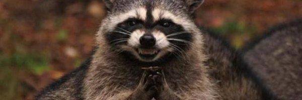 BigdjiRodgers's profile banner image