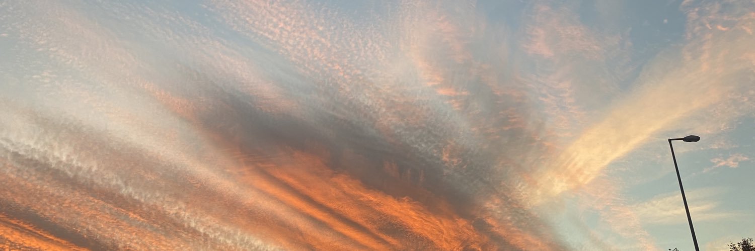 breengarco's profile banner image