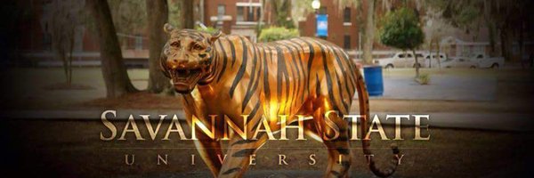 perfectGApeach Profile Banner