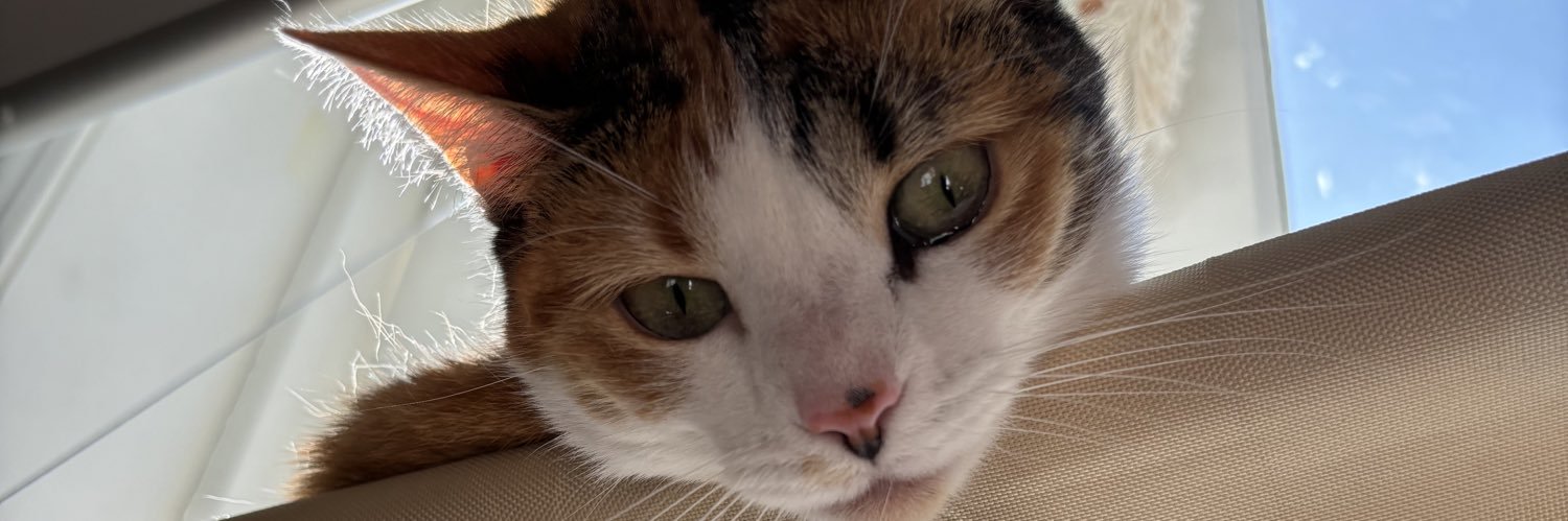 taraalysse's profile banner image