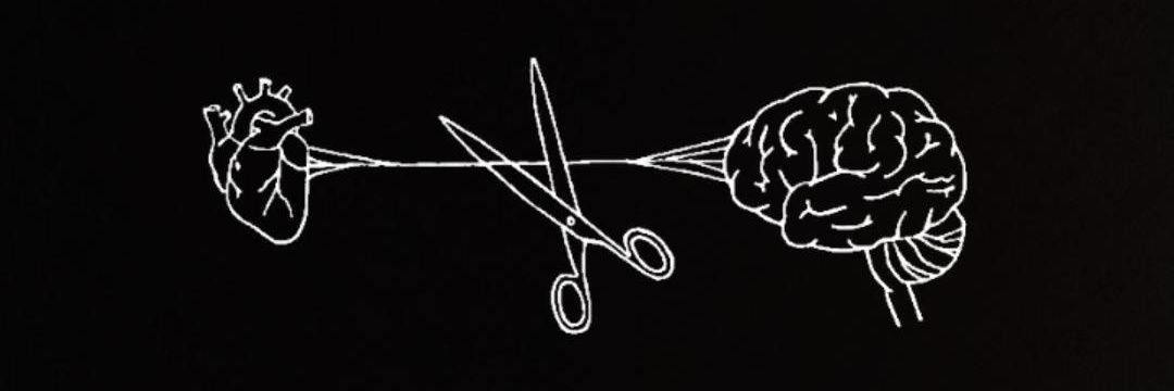 CampregherAri's profile banner image