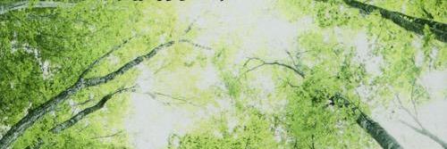 KPf_M's profile banner image