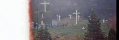 💮 Vicious Little Thing 💮 banner