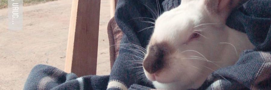 FrosAndriu's profile banner image