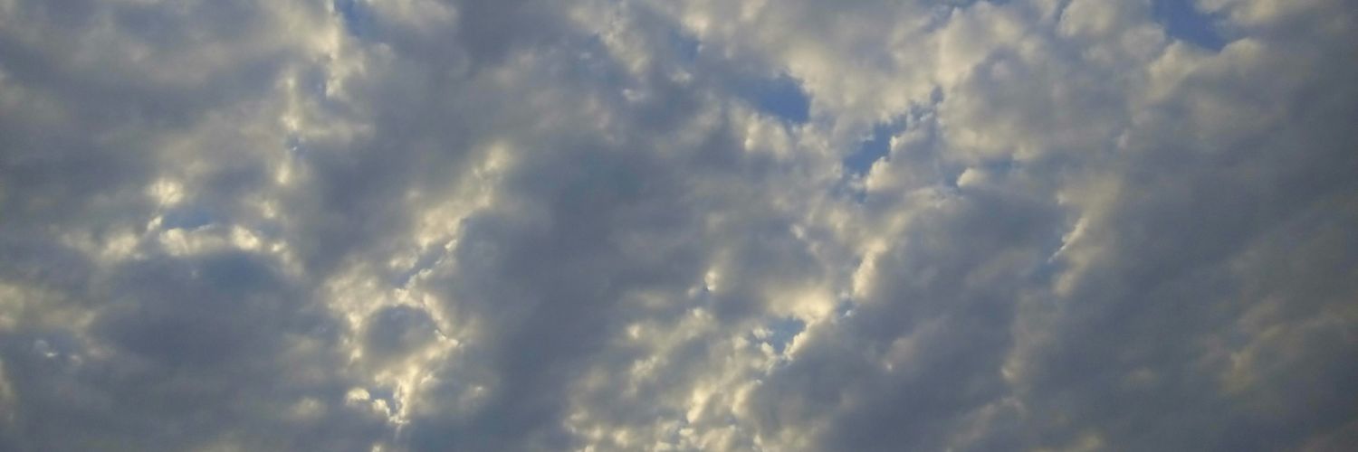 detregente's profile banner image