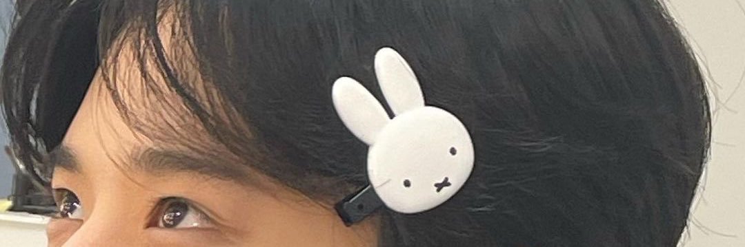 iniina｡𖦹°‧⭑.ᐟ banner