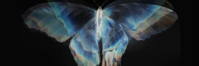 sofiaanoseq's profile banner image
