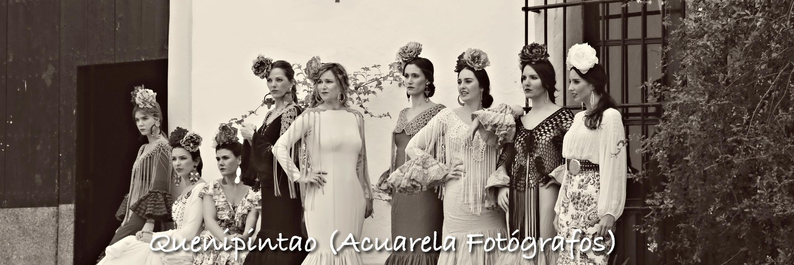 Quenipintao's profile banner image