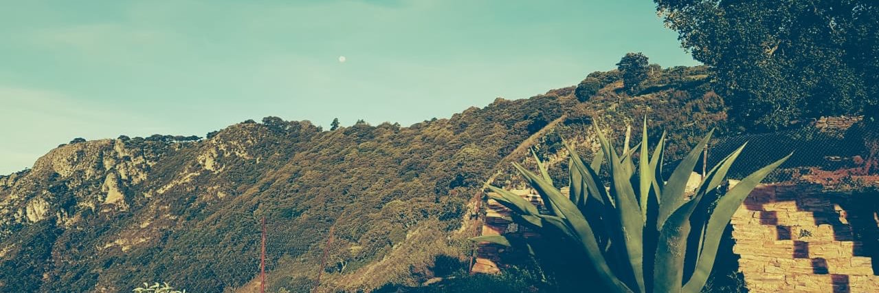 LITTLEYAZ's profile banner image