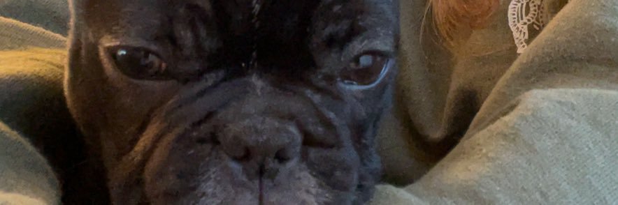 Bevis_Stew's profile banner image