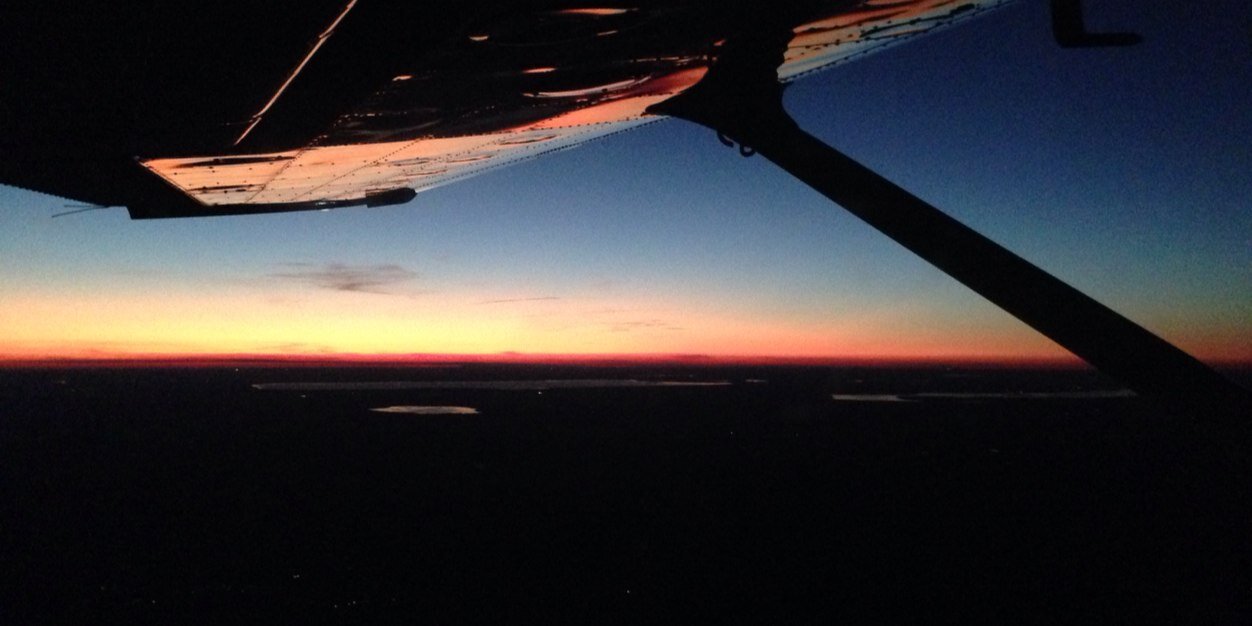 Elizabeth Crossman banner