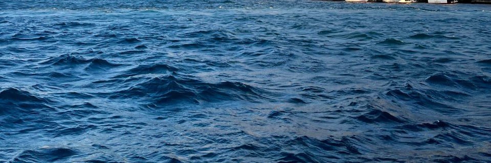 elio_joel's profile banner image