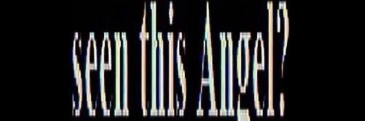 lorde banner