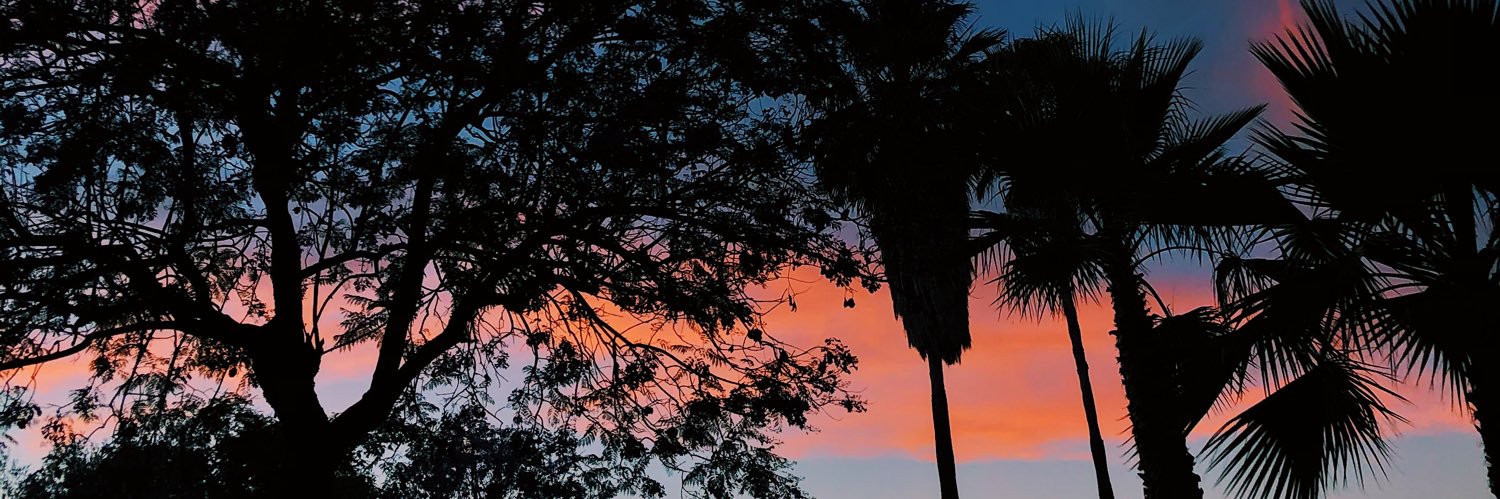 EvaContreras99's profile banner image