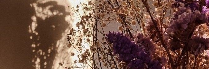 erinLarissaa's profile banner image