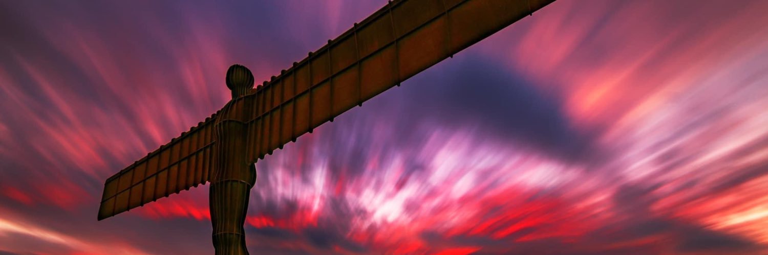 lynne_patrick's profile banner image