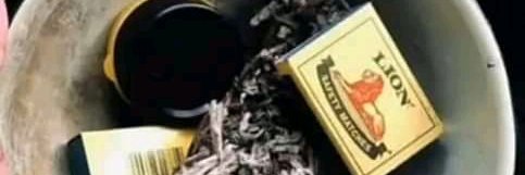 Leader of the Dark Skin Society banner