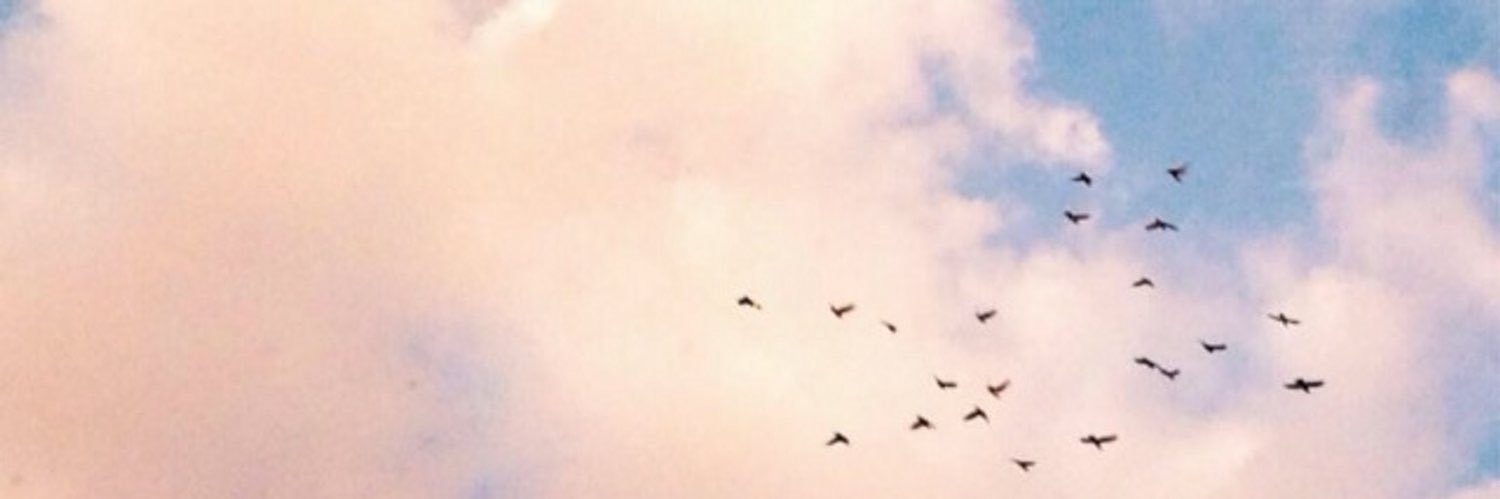 rim627's profile banner image
