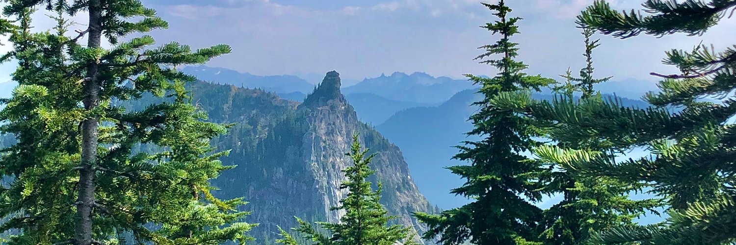 StephGCooper's profile banner image