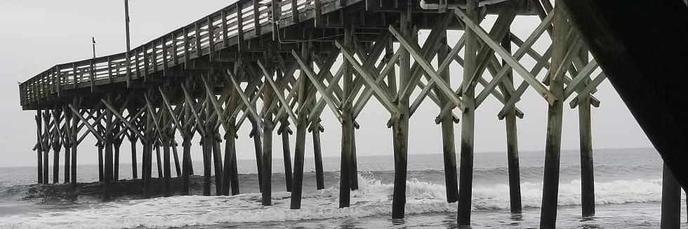 OnePinkFlamingo🦩🌺🦩 banner