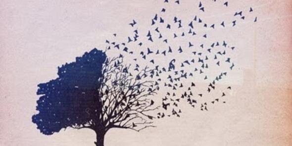 Carmen banner