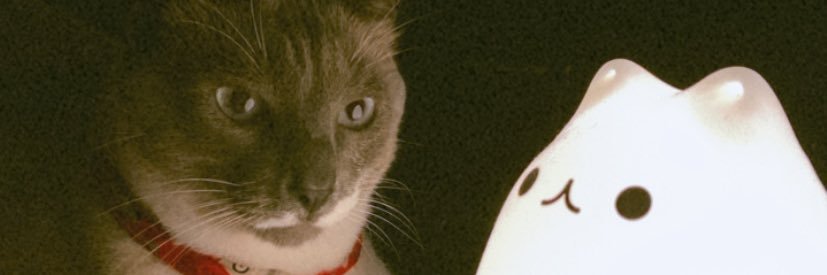 ianpierre_pg's profile banner image