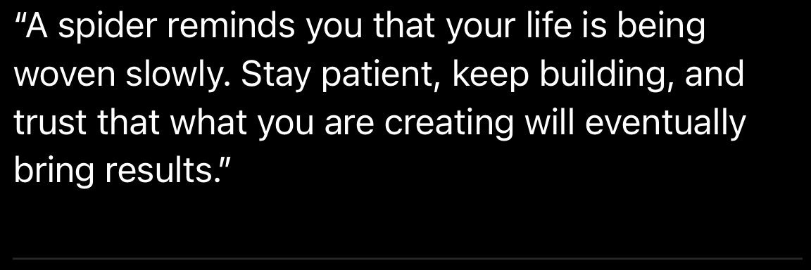 BIG S🕷️UCE banner