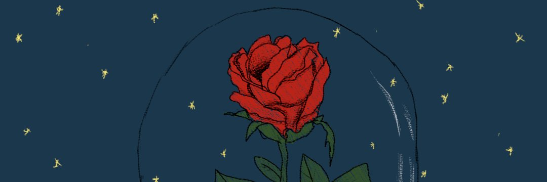 Mateusheadshot's profile banner image