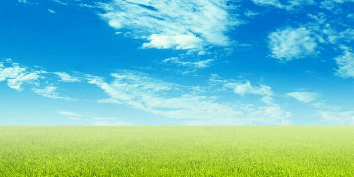 DasBeauty's profile banner image