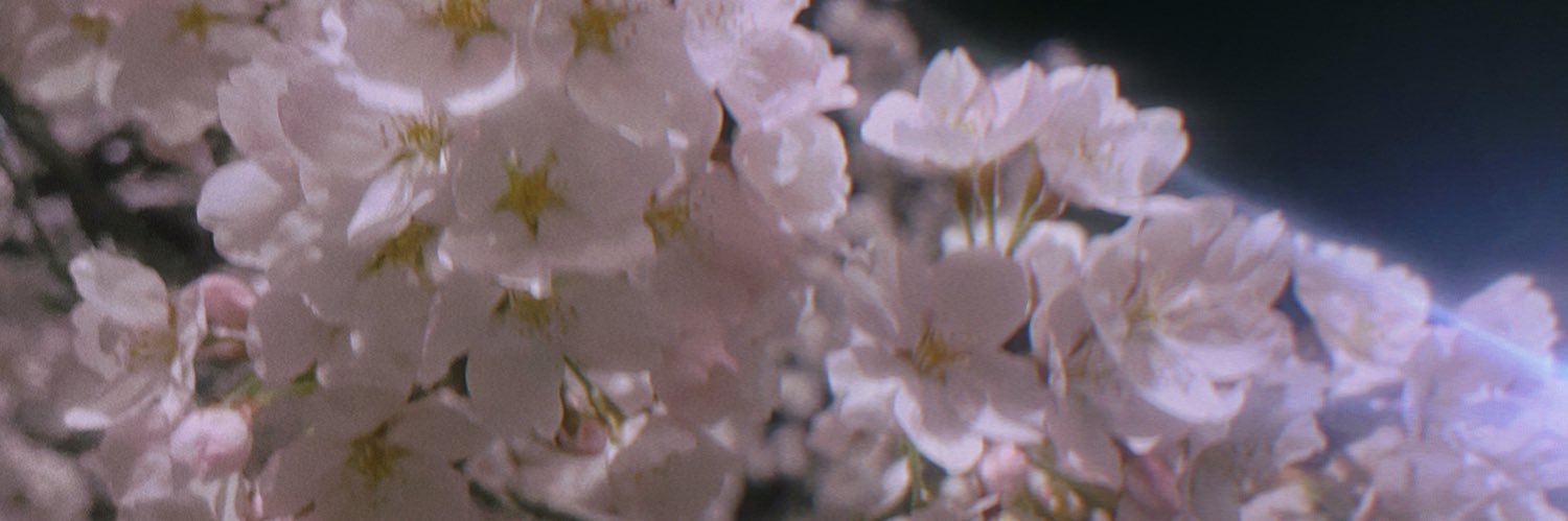 アオソル banner