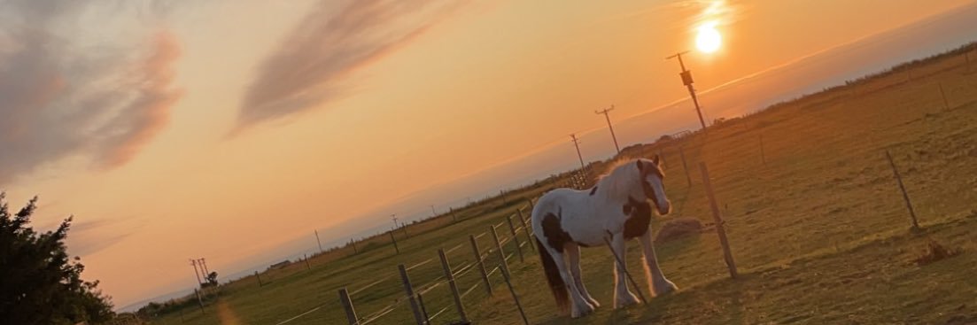 Kimberlynicol45's profile banner image